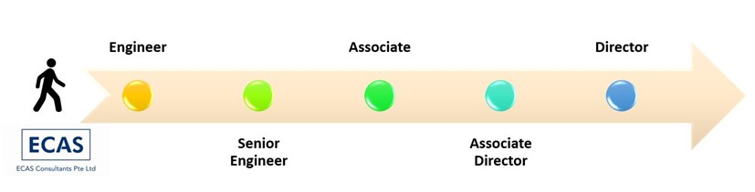 Ecas Career Pathway